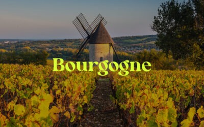 Provning: Bourgogne del 1 – 23 mars, 2022