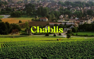 Provning: Bourgogne, del 2 – Chablis – 21 april, 2022