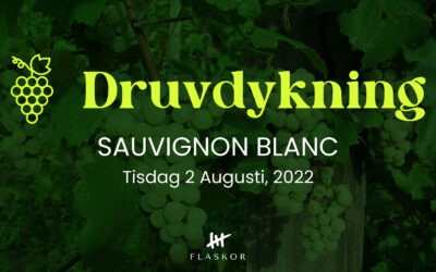 Provning: Druvdykning Sauvignon Blanc, 2 Augusti, 2022